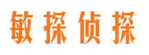 九里市调查公司